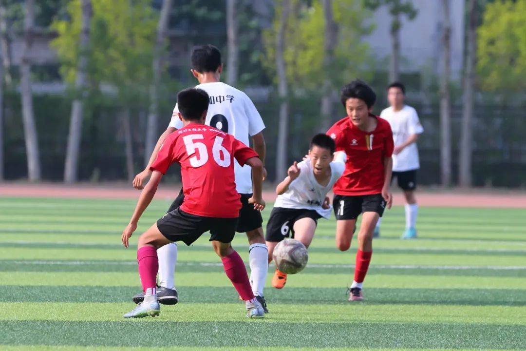 北京大学录 北京大学录
